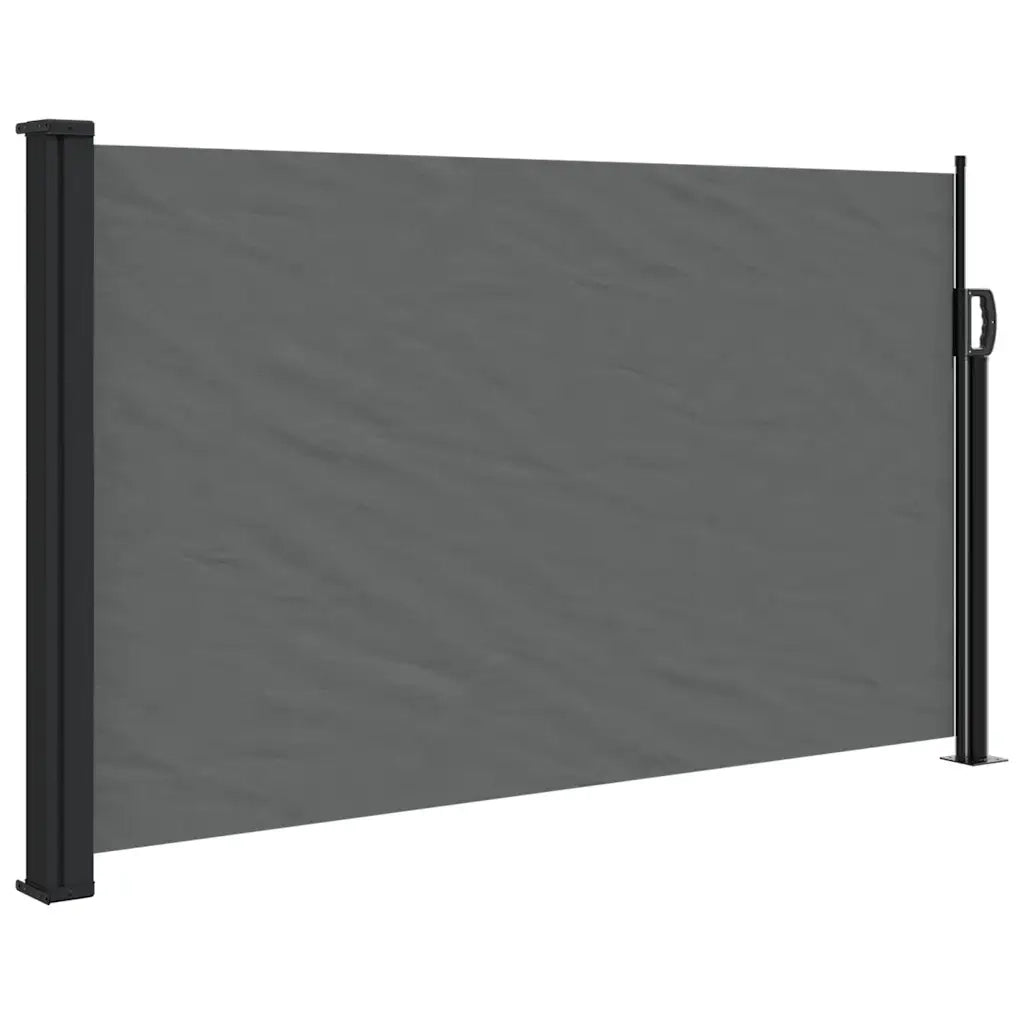 Tenda da sole laterale retrattile antracite 117x300 cm 4004293