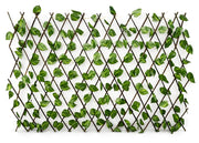 Traliccio Potos Foglie Rampicante Verde Frangivista Recinzione Giardino Balcone 1x2mt