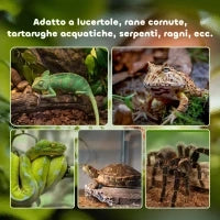Terrario per Rettili Rialzato con Serratura e Termometro, in Vetro e Rete Metallica, 50x30x35 cm, Nero