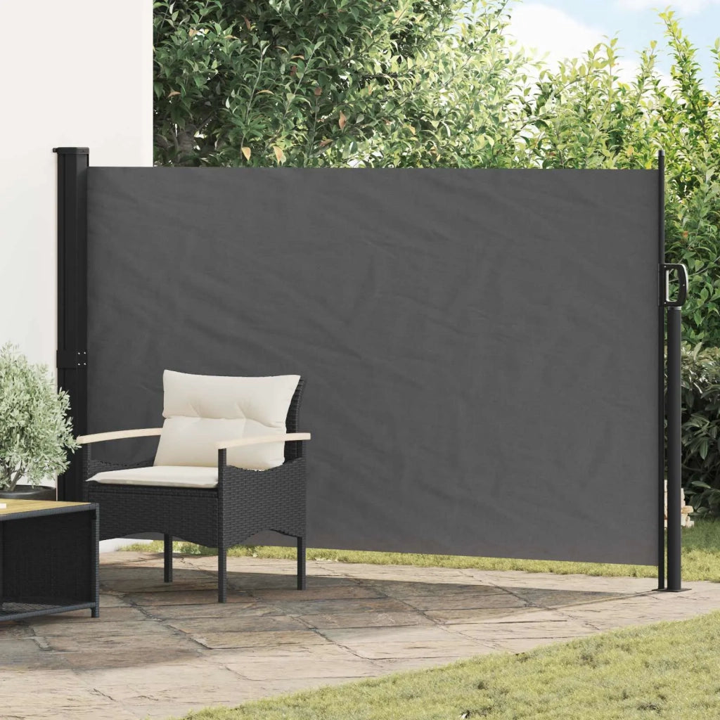 Tenda laterale retrattile Antracite 300 x 170 cm Poliestere