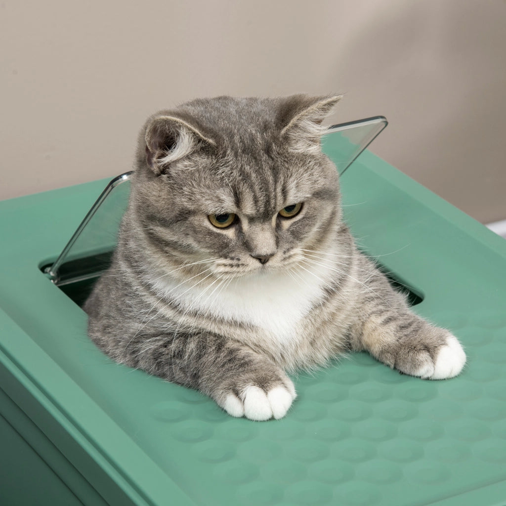 Casetta per Gatti ¨C zephmum ¨C Verde 47.5x35.5x36.7 cm