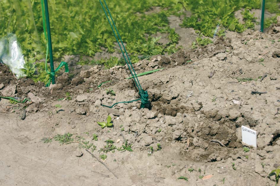 Serra da Giardino a Tunnel in Acciaio Rama Premium Verde