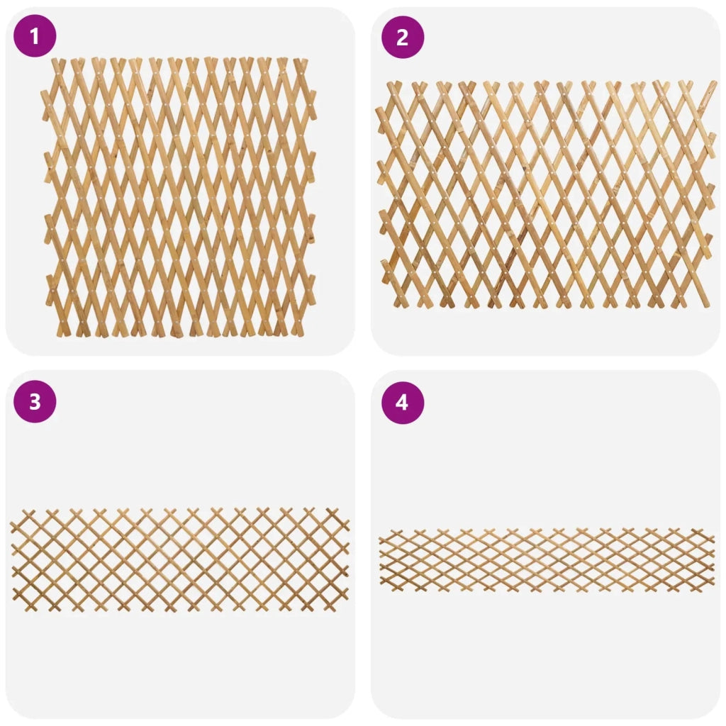 Recinto Trellis Espandibile 2 pz Marrone Chiaro 100 x 105 cm CFW9078196