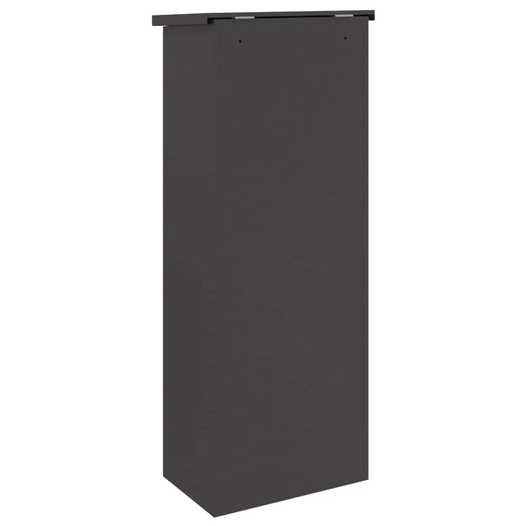 Cassetta per pacchi con porta Nero 44,5 x 29 x 110,5 cm Acciaio 874926