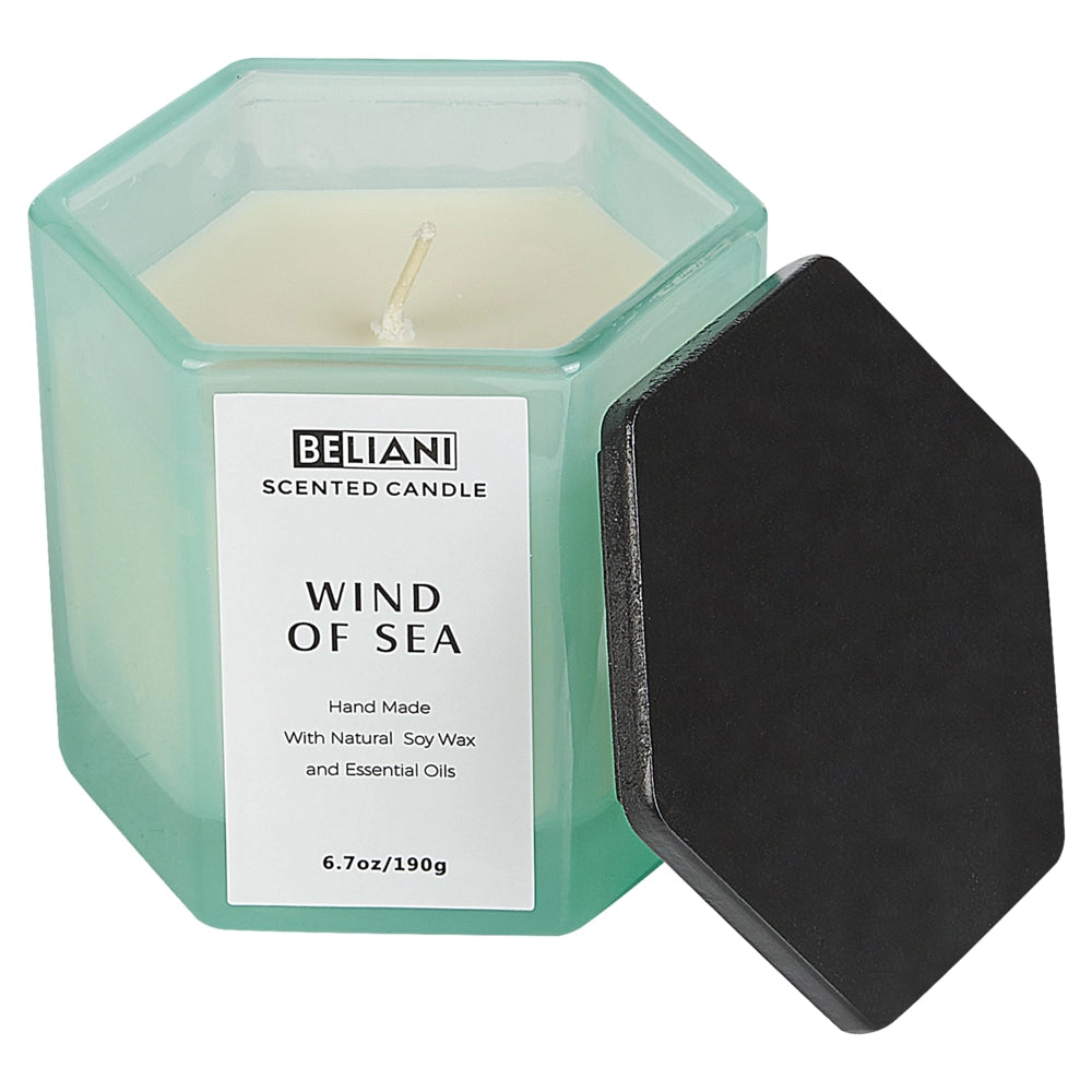 Set candela profumata in cera di soia 100% e diffusore con bastoncini, stoppino di cotone, vetro profumo fresco brezza marina