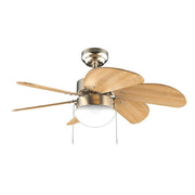 CECOTEC 08370 - EnergySilence Aero 360 Gold&Wood