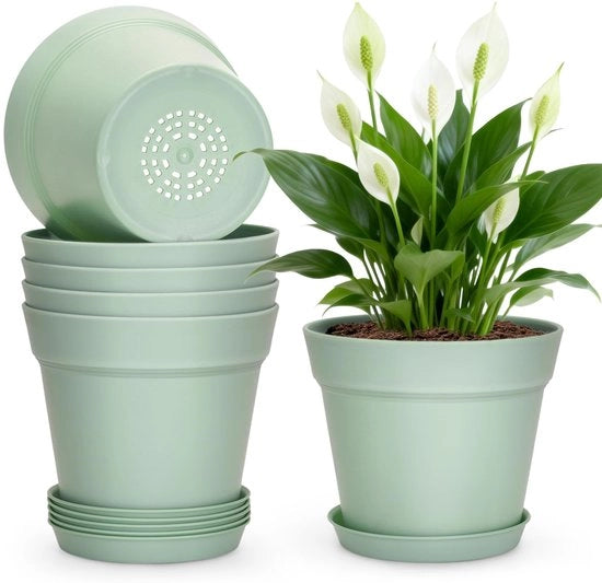 6 pezzi di vasi per piante in ceramica saliggine - vasi per piante moderni con fori di drenaggio 

Dimensioni: 15,3 cm
