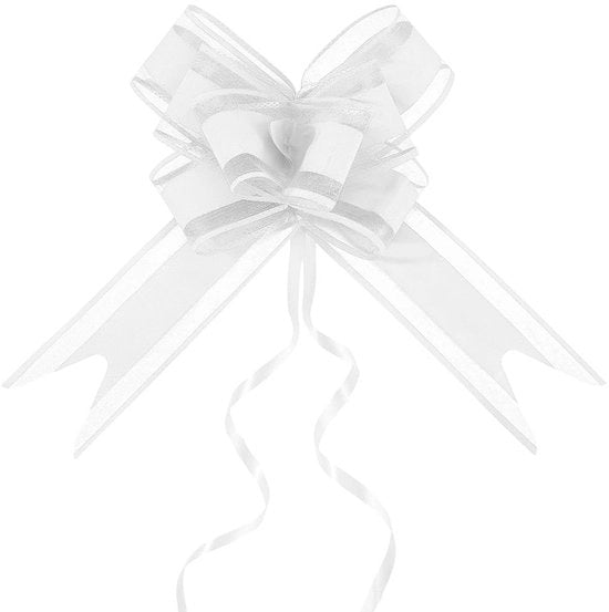 Deco - 10 pezzi di nastri decorativi bianchi con corda per decorazione