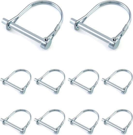 Linchetti per Giardino Agricolo - Set da 10 Pezzi - Acciaio di Carbonio - 6 x 50mm