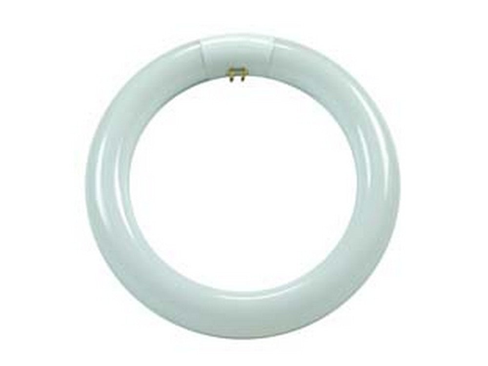 circoline trifosforo fluorescenti t9 g10q 32w 6500k fredda 2000 lm 305x30 cod:ferx.fer339698