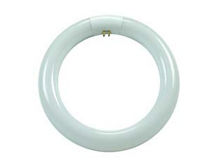 circoline trifosforo fluorescenti t9 g10q 32w 6500k fredda 2000 lm 305x30 cod:ferx.fer339698