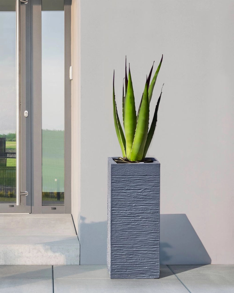 Vaso da fiori Fioriere alte in argilla in fibra grigia Accessori da giardino per interni ed esterni quadrati