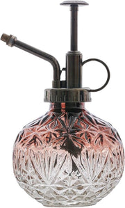Vaso da pioggia in vetro per piante da interni e succulente, 200 ml