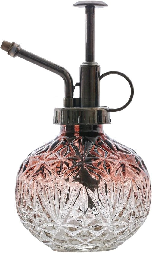 Vaso da pioggia in vetro per piante da interni e succulente, 200 ml