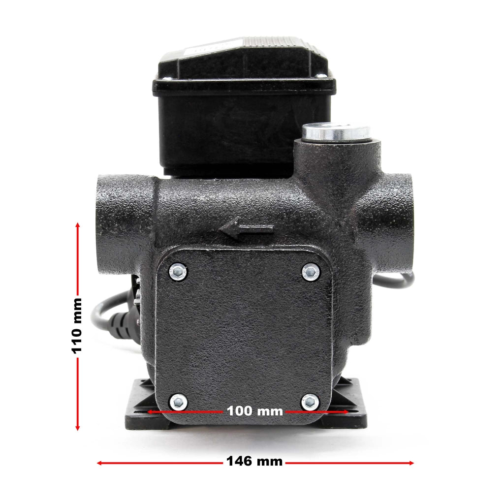 Pompa autoadescante per diesel gasolio 80 l/min 550W 230V altezza di aspirazione 2 m