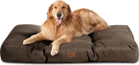 Cuscino per cani lavabile per grandi cani – 110 x 89 cm impermeabile XXL per grandi, medi cani piastra per cani outdoor in colore marrone 10 cm di altezza