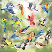 Decal per 17 pezzi di decorazione per finestre Uccelli primaverili adesivi per finestre Colorati uccelli Colibrì Stickers per finestre d'estate Protezione degli uccelli contro i colpi di vento adesivi per finestre per finestre con vetro