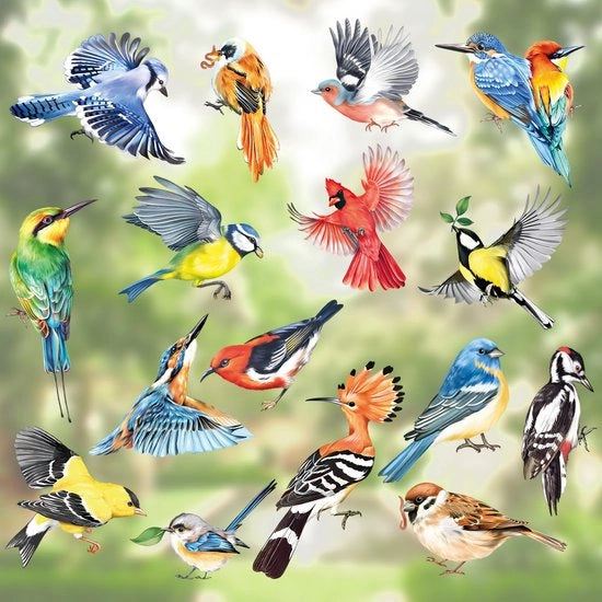 Decal per 17 pezzi di decorazione per finestre Uccelli primaverili adesivi per finestre Colorati uccelli Colibrì Stickers per finestre d'estate Protezione degli uccelli contro i colpi di vento adesivi per finestre per finestre con vetro