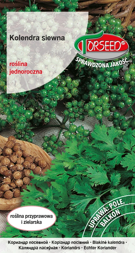 Coriandrum sativum 2g