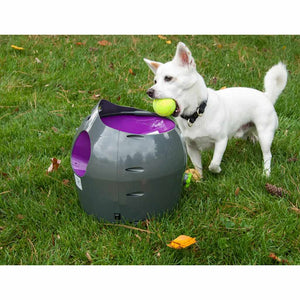 PetSafe Lanciapalline Automatico 9 m Grigio e Viola 411446