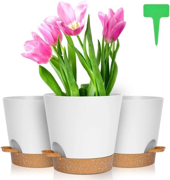 Piantina Automatica Zelfbewatering Kunststof 3 Stuks - 20 x 19 cm - Pianti da Balcone - Sostegno - Etichette per Piante