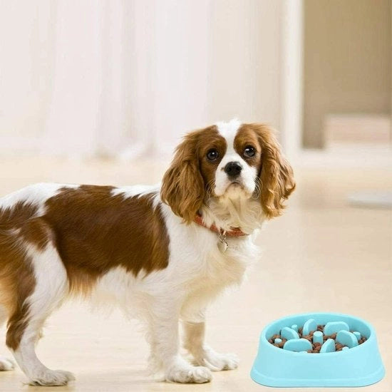 Piatto di Cibo a Flusso Lento con Superficie Antiscivolo - Cibo per Cani con Blocco di Bolo Anti-Gulping - Piatto Interattivo per Prevenire il Bloat - Piatto per Cani con Disegno Salutare (Rosso)