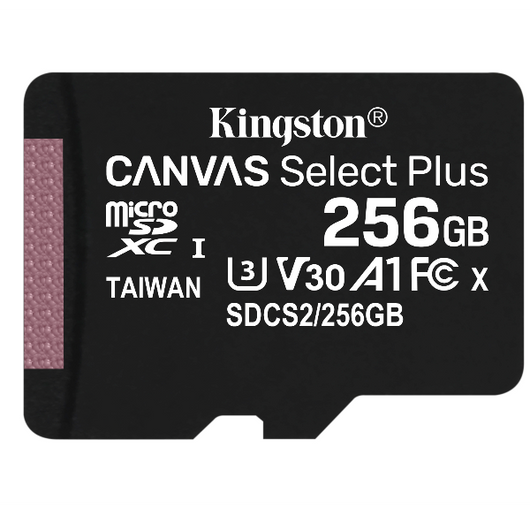 Kingston technology scheda micsdxc canvas select plus 100r a1 c10 da 256gb confezione singola senza adattatore - SDCS2/256GBSP