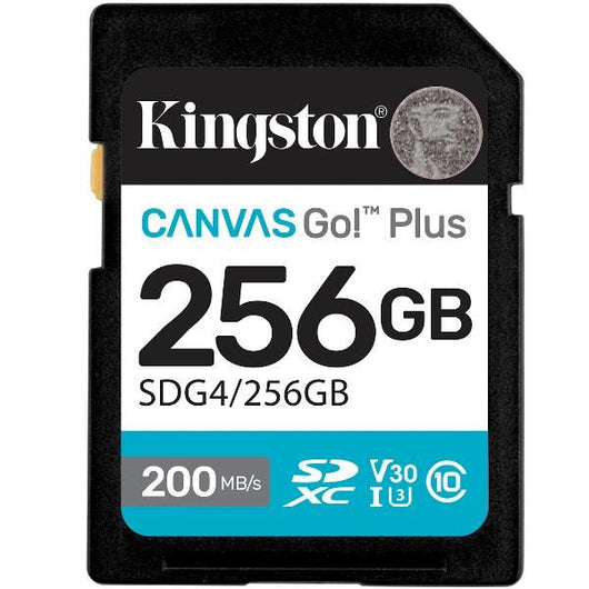 256gb sdxc canvas go plus gen4 - SDG4/256GB