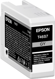 Epson UltraChrome Pro cartuccia d'inchiostro 1 pz Originale Grigio