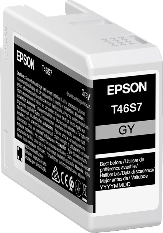 Epson UltraChrome Pro cartuccia d'inchiostro 1 pz Originale Grigio