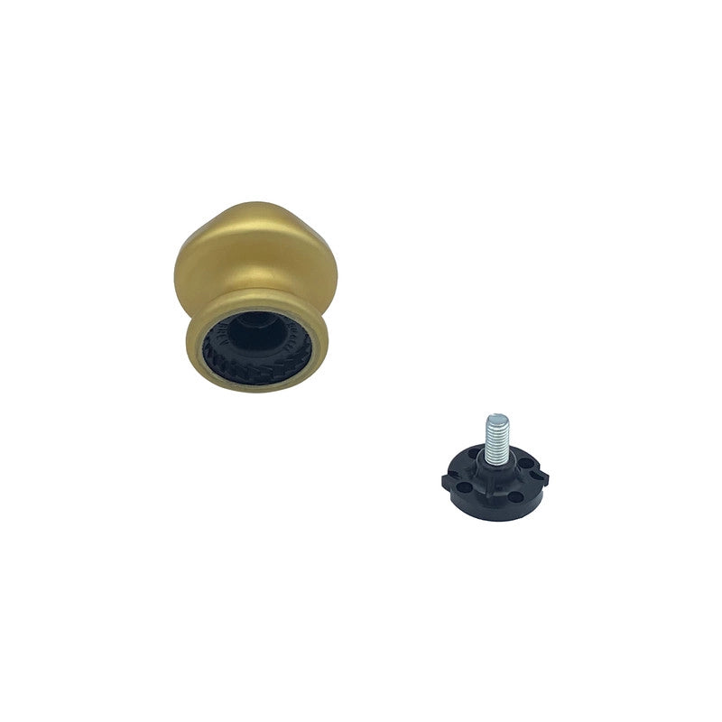 Pomolo fisso per porta SAGUATTI 172/60FB in alluminio oro satinato