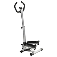 Stepper con Monitor LCD, Manubrio Regolabile ed Elastici, in Acciaio e ABS, 55x53x118-128 cm, Nero e Argento