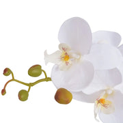 Orchidea Artificiale con Vaso 65 cm Bianca CFW2585282