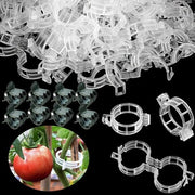 Set di 200 clip di plastica per piante a color verde per un sostegno fermo di pomodori e altre piante rampicanti in giardino o serra