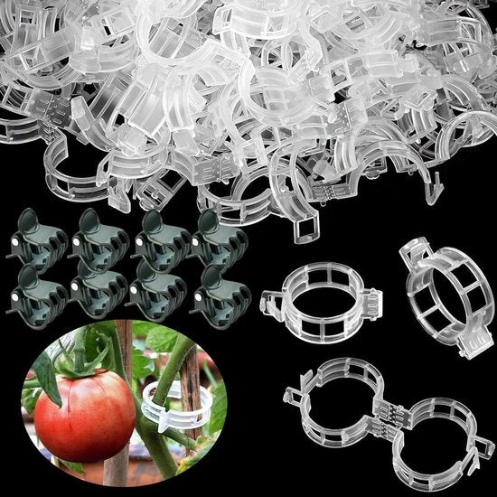 Set di 200 clip di plastica per piante a color verde per un sostegno fermo di pomodori e altre piante rampicanti in giardino o serra