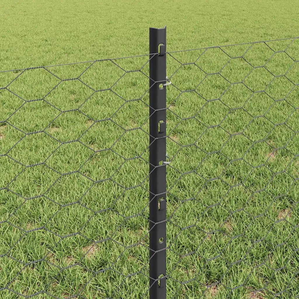 Recinzione da Giardino | Recinzione con Posto Grigio
