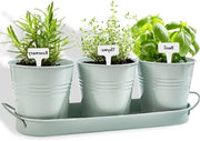 Set di vasi per piante con scodella per interni - Vaso per piante per finestra in metallo con scarico per esterni - Verde