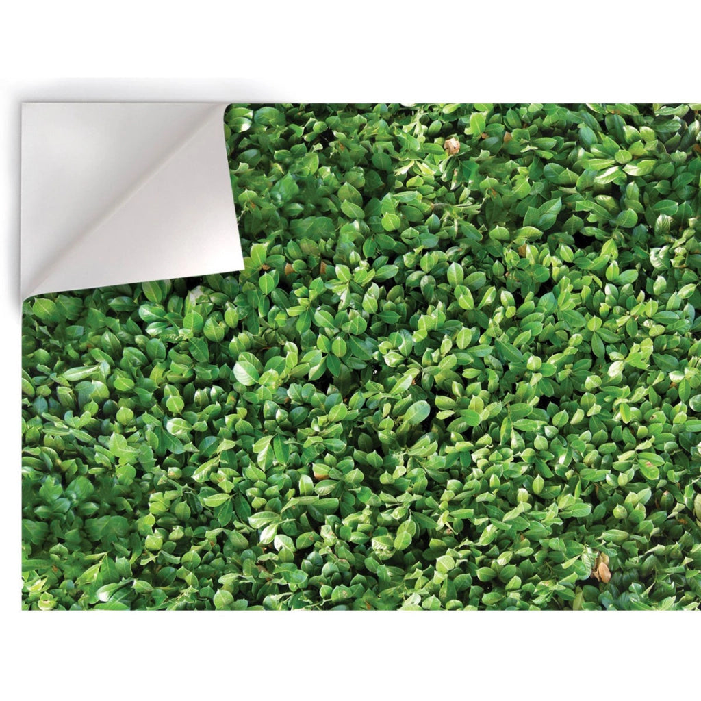 Siepe - Pellicola stampata adesiva in PVC finitura opaca Misura: 100x200 cm