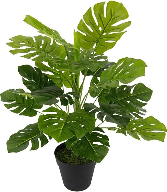 Pianta Artificiale Monstera - Fiori di Seta Decorativi per Pianta