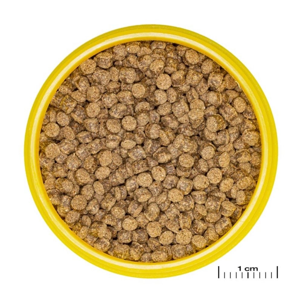 JBL ProNovo Fantail Grano M - Mangime base in granuli per Veiltails e altre varietà di pesce rosso da 8 a 20cm Formato: 250 ml
