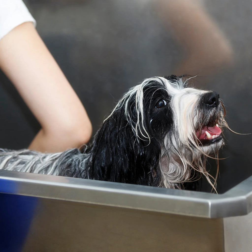 Vasca da Bagno per Toelettatura Cani Gatti e Animali Domestici in Acciaio Inossidabile Inox – 400mm