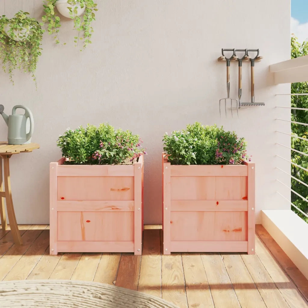 Fioriere da Giardino 2 pz in Legno Massello di Douglas 837421