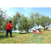 PETTINE PNEUMATICO DOPPIO RICAMBIO ABBACCHIATORE SCUOTIOLIVE V8 EVO LISAM