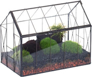 Terrario in vetro con coperchio - per piante grasso e cactus - 1 pezzo - nero - 23,9 cm x 14 cm x 18,5 cm