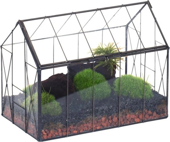 Terrario in vetro con coperchio - per piante grasso e cactus - 1 pezzo - nero - 23,9 cm x 14 cm x 18,5 cm