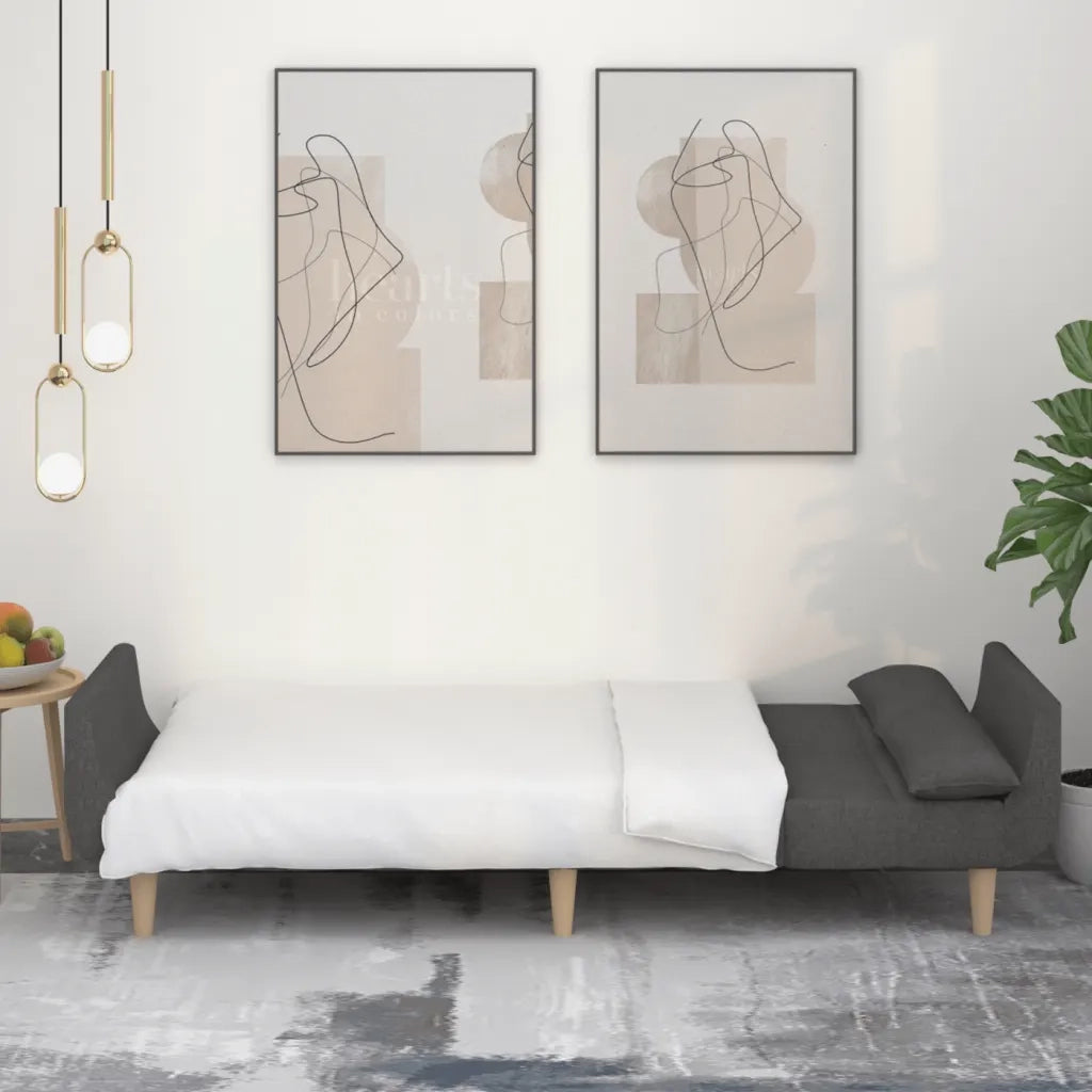 Divano letto | Sof¨¤ letto | Letto singolo a 2 Posti con 2 Cuscini Grigio Scuro in Tessuto