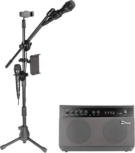 Impianto Karaoke Professionale a 100 Watt con Bluetooth e Sistema PA con Due Microfoni Karaoke per Adulti