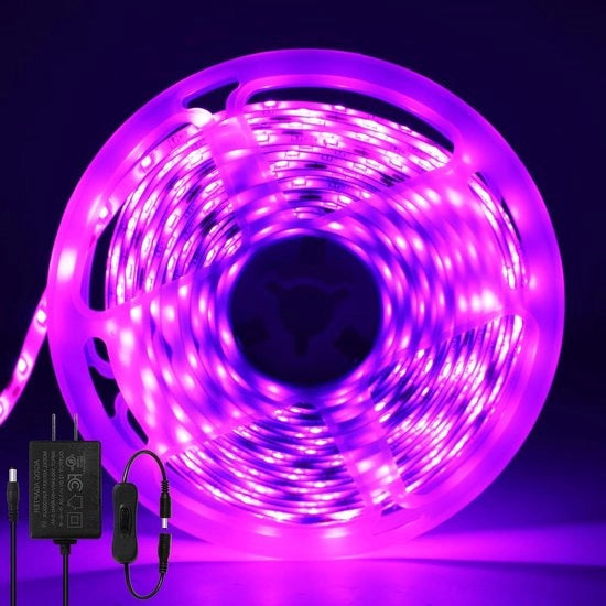 Luce a LED a LED a 5M 12V SMD2835 Flexibile Acqua-Resistente - Decorazione per Camera da Letto Bar Cucina Natale