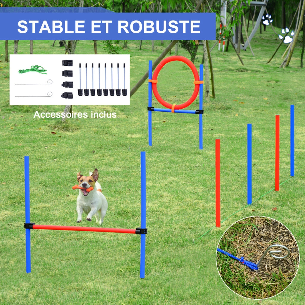 Set Agility per Cani 11 Pezzi con Ostacoli e Borsa Trasporto ¨C zephmum ¨C Rosso e Blu