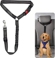 Cinturone di sicurezza per auto - Cinturone per cani di piccola e media taglia adattabile
